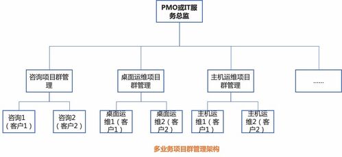 信息技術(shù)服務(wù)知識體系中的信息系統(tǒng)集成服務(wù)——以系統(tǒng)規(guī)劃與管理為視角